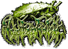 NYCT-lg2.GIF (10699 Byte)