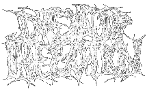 deadinfec-lg.GIF (6266 Byte)