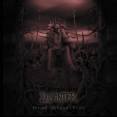 disinter-CD2_pin.jpg (2189 Byte)