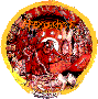 hmr-plp1_pin.gif (5123 Byte)